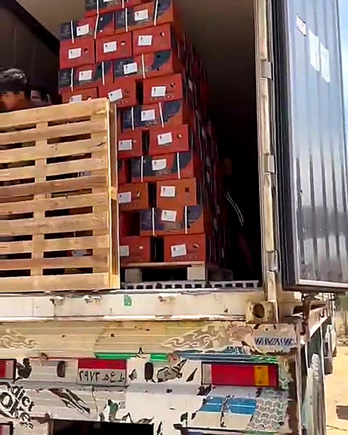 Cartons loaded into a reefer container for export