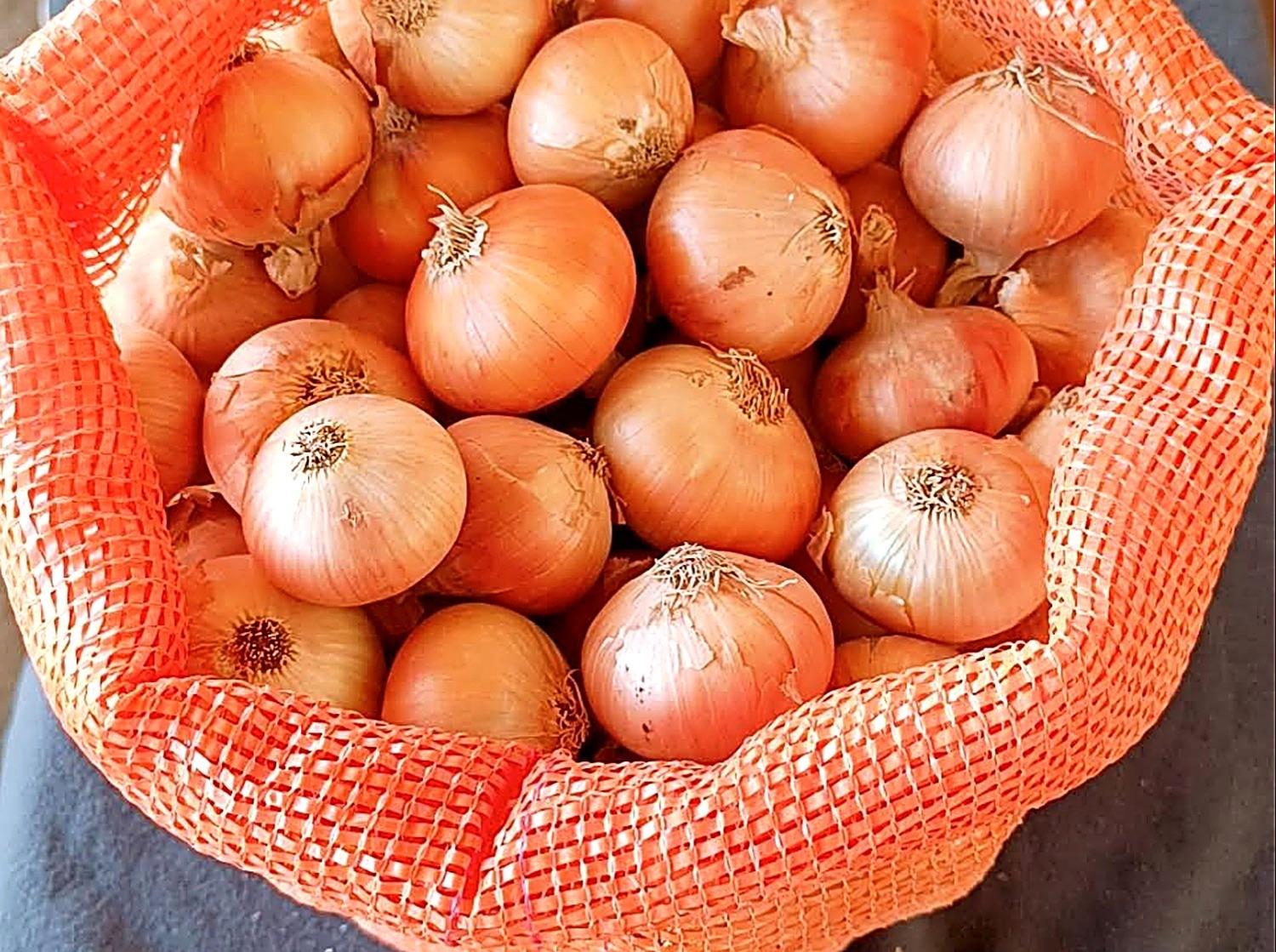 Yellow onions in an orange mesh bag