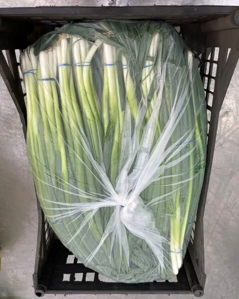 Cebolletas envueltas y encajadas para la exportación