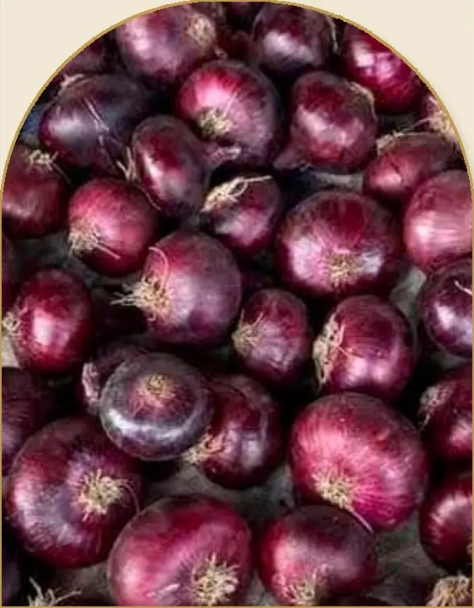 Cebollas egipcias de rojo intenso