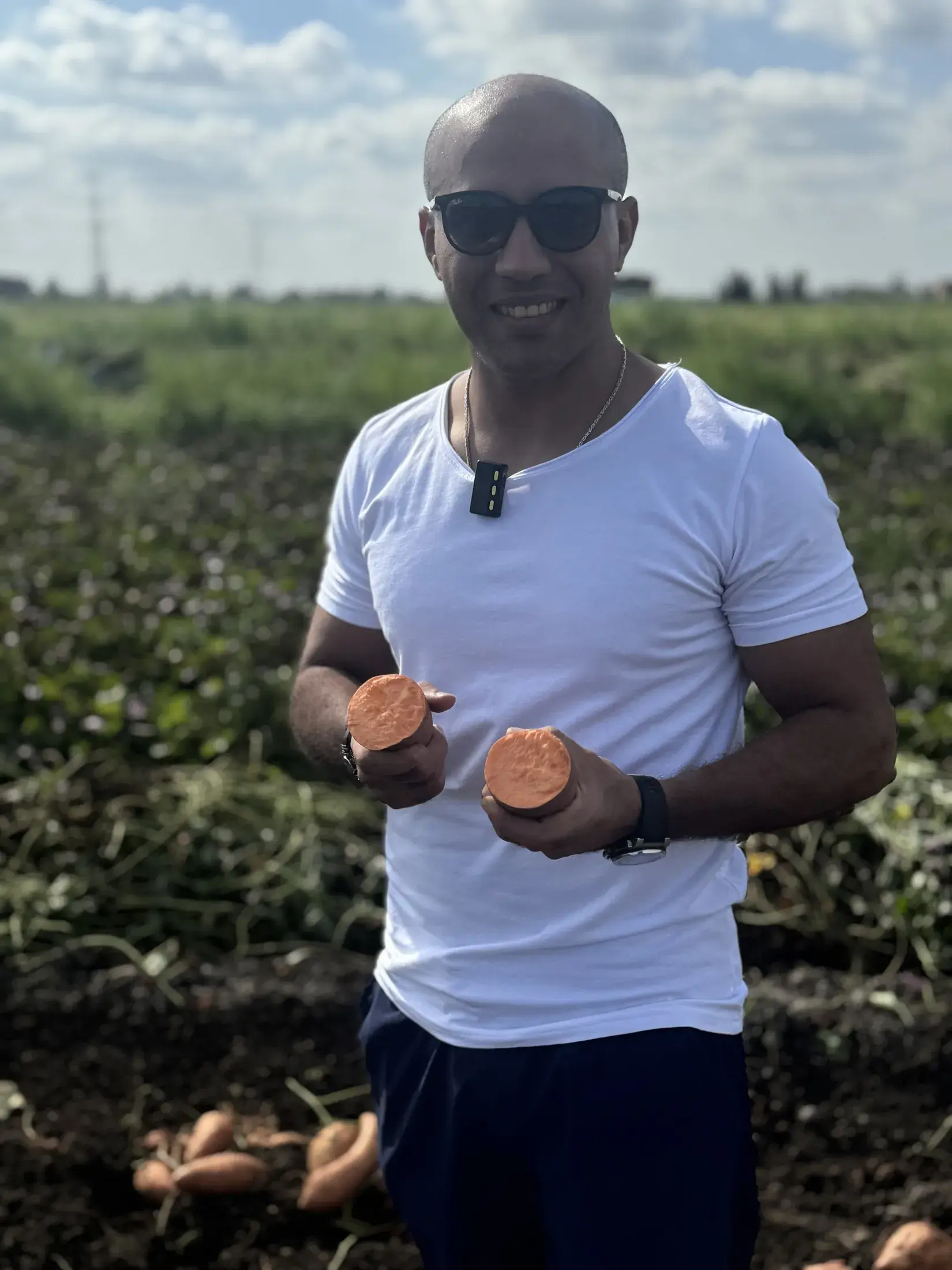 Batatas egipcias recién arrancadas, cortadas para mostrar su pulpa naranja intenso